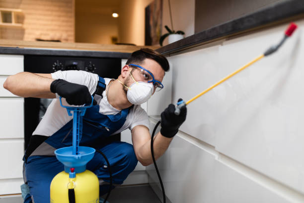 Best Mosquito Control Services  in , WI
