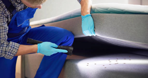 Best Flea Control Services  in , WI