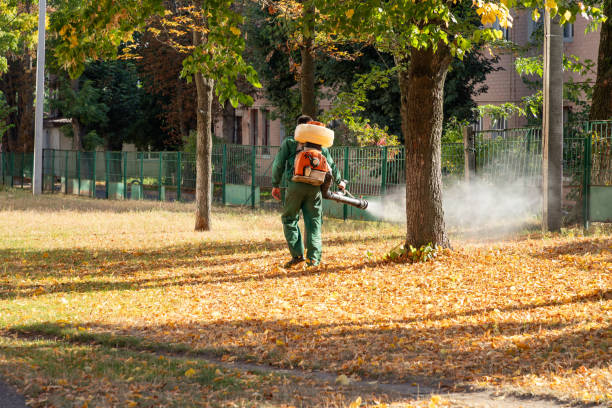 Best Termite Control Services  in , WI
