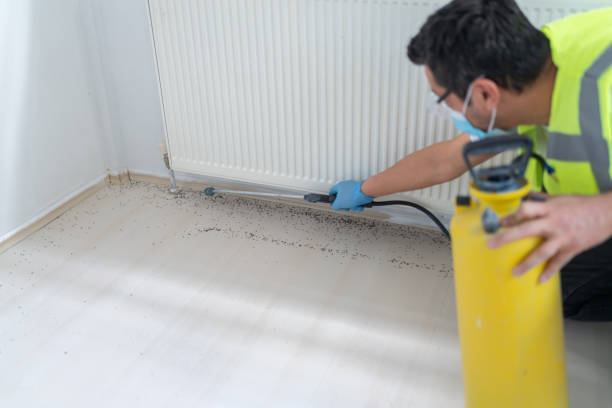 Best Affordable Pest Control Services  in , WI