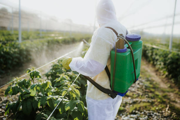Best Best Pest Control Companies  in , WI